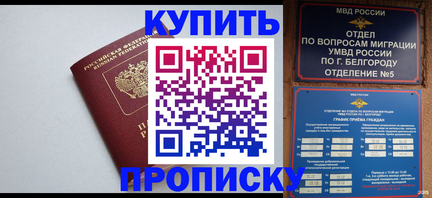 прописка регистрация в Апрелевке